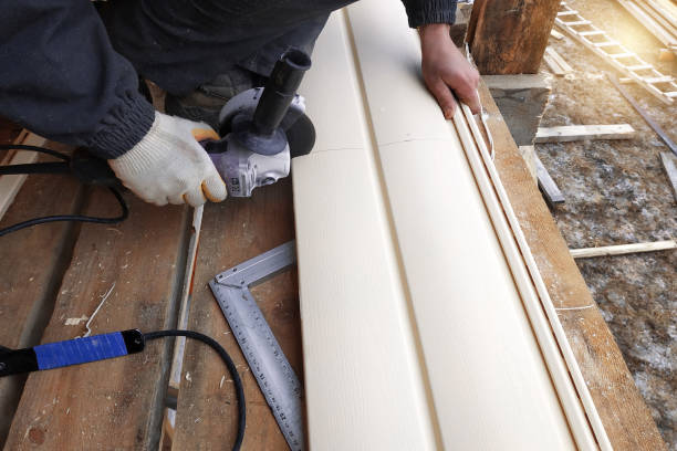 Best Vinyl Siding Installation  in Earlham, IA